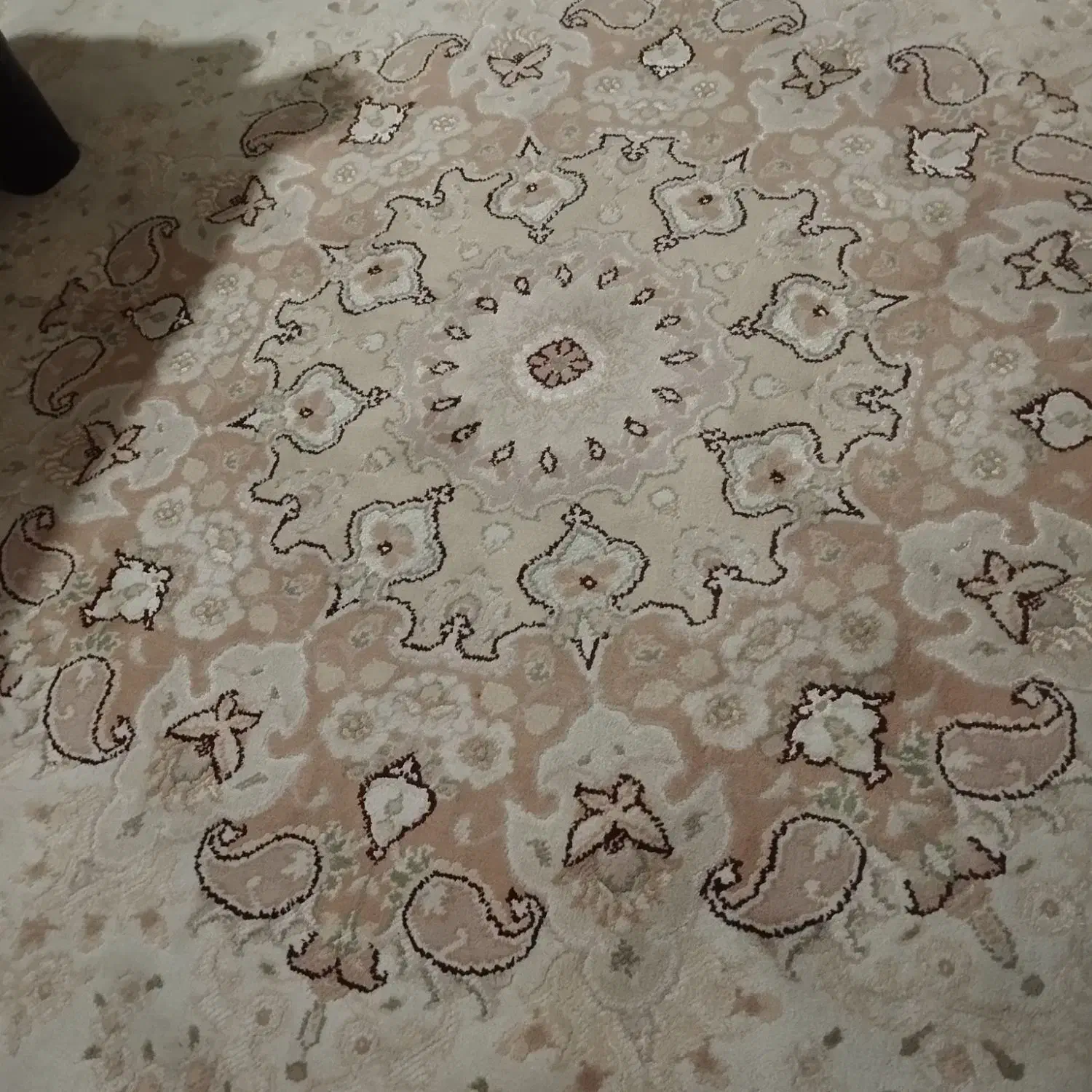 فرش درحد|فرش|پردیس, فاز ۱۱|دیوار