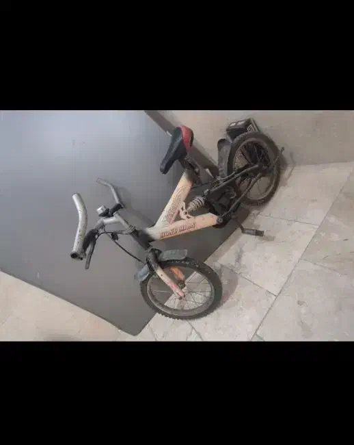 دوعدد دوچرخه باهم|دوچرخه، اسکیت، اسکوتر|تهران, دستغیب|دیوار