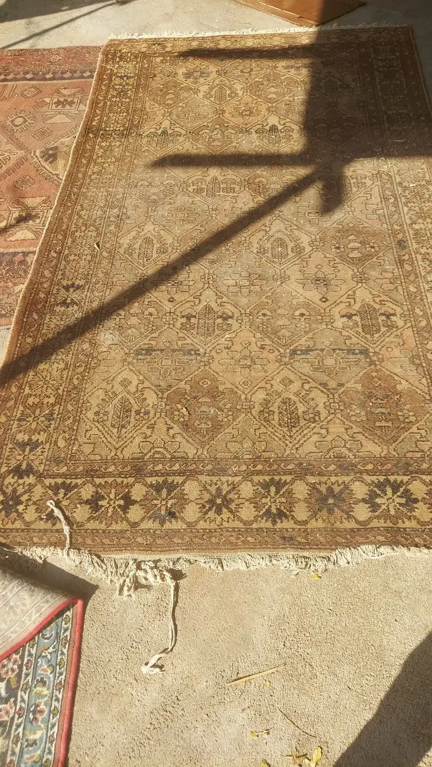 فرش عتیقه سالم|فرش|اصفهان, عباس‌آباد|دیوار