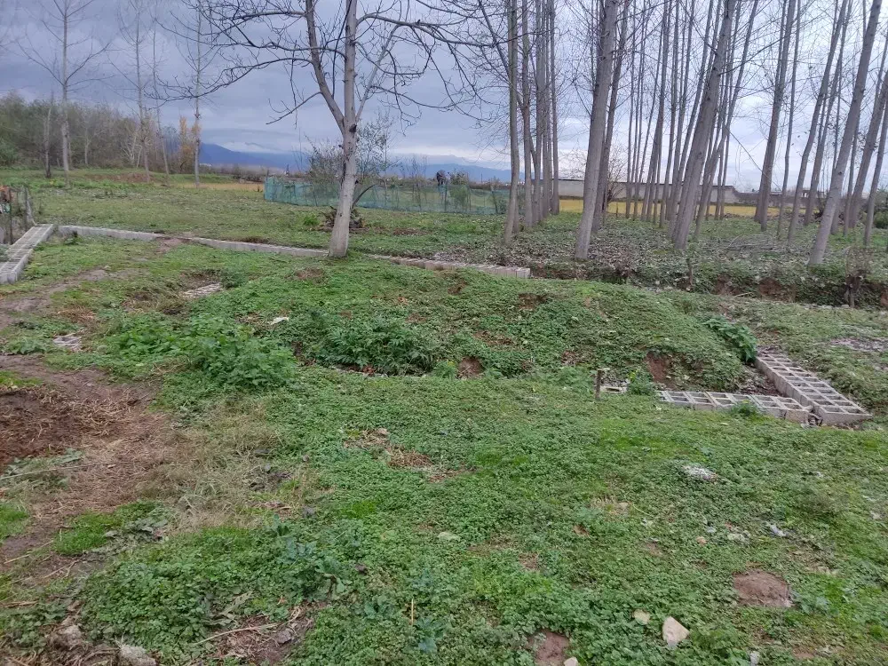 چندتا زمین با ۳ کنتور و... گوراب زرمیخ مبین بالو|فروش زمین و ملک کلنگی|گوراب زرمیخ, |دیوار