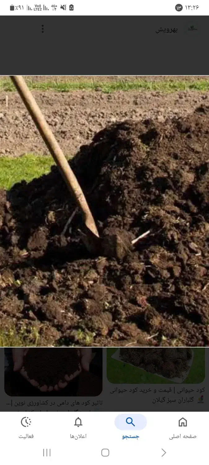 باغبانی|عمده‌فروشی|لردگان, |دیوار