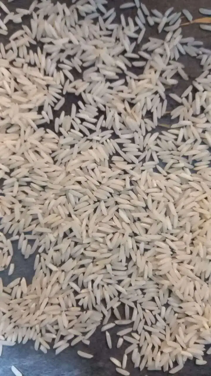 برنج هاشمی اصیل و یکدست|خوردنی و آشامیدنی|پرند, فاز ۴|دیوار