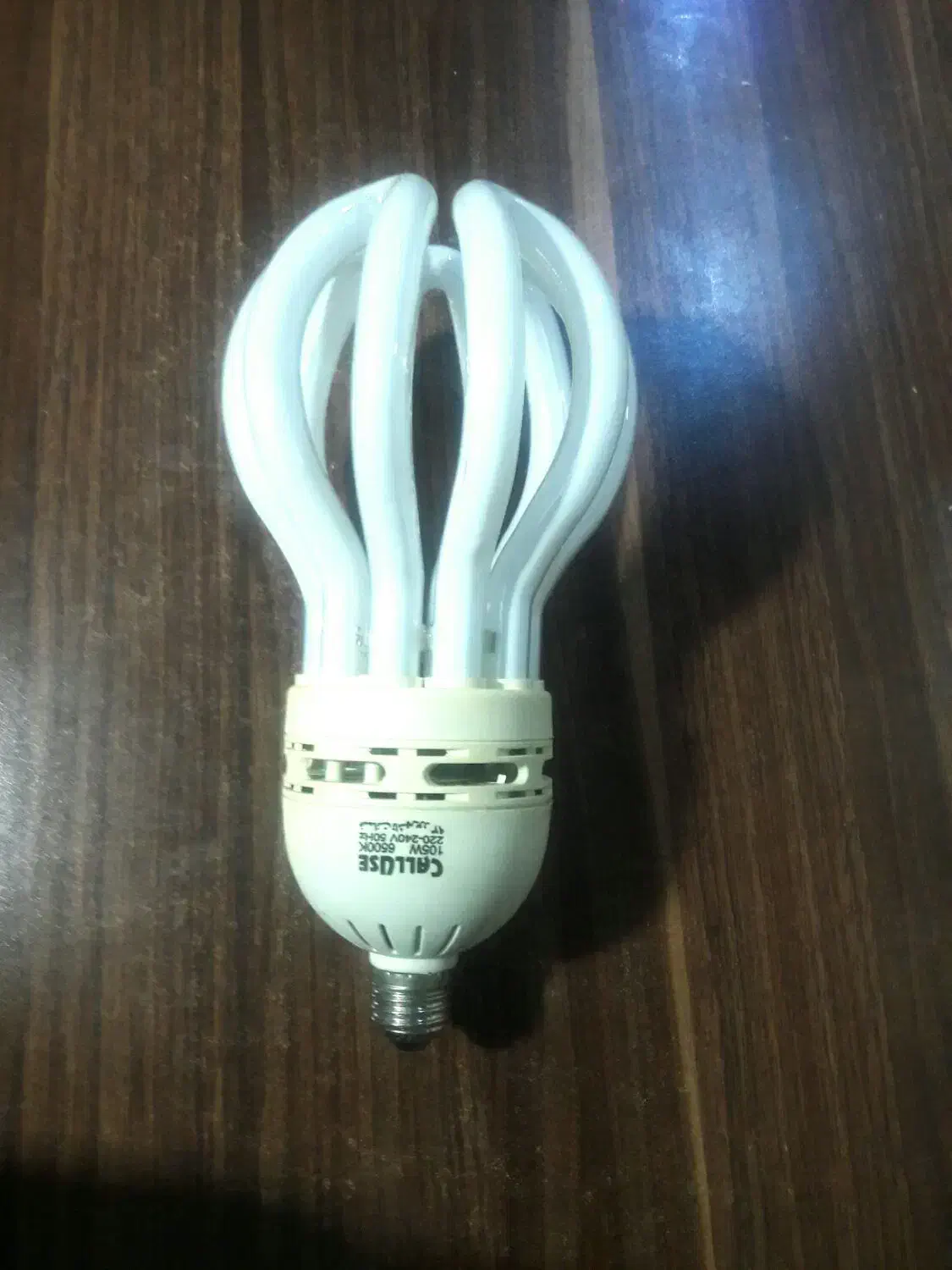 لامپ خرچنگی لوتوس۱۰۵وات۶۳۵تومن فقط ۲۰۰|لامپ و چراغ|مشهد, فرهنگیان (شهرک غرب)|دیوار