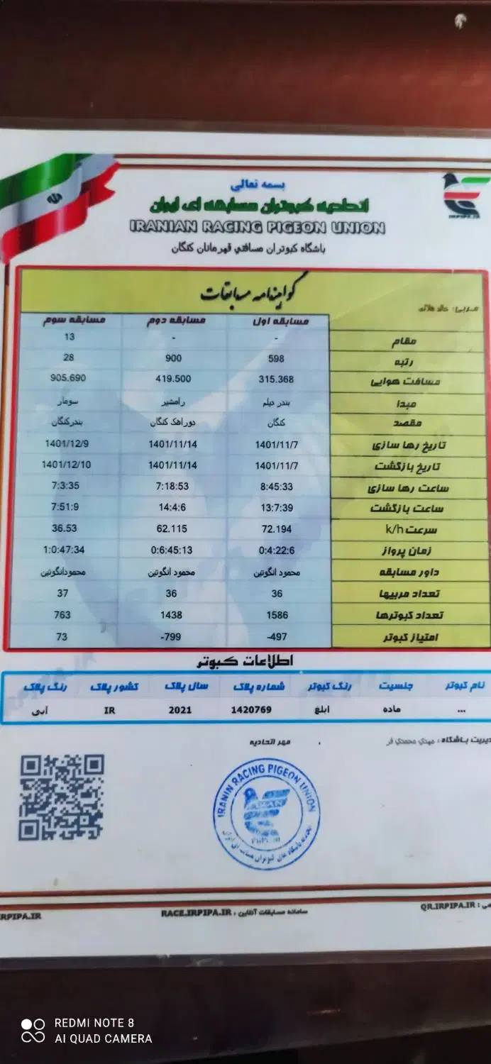 مسافتی 900هوایی نشسته|پرنده|شیراز, شهرک امیر کبیر|دیوار