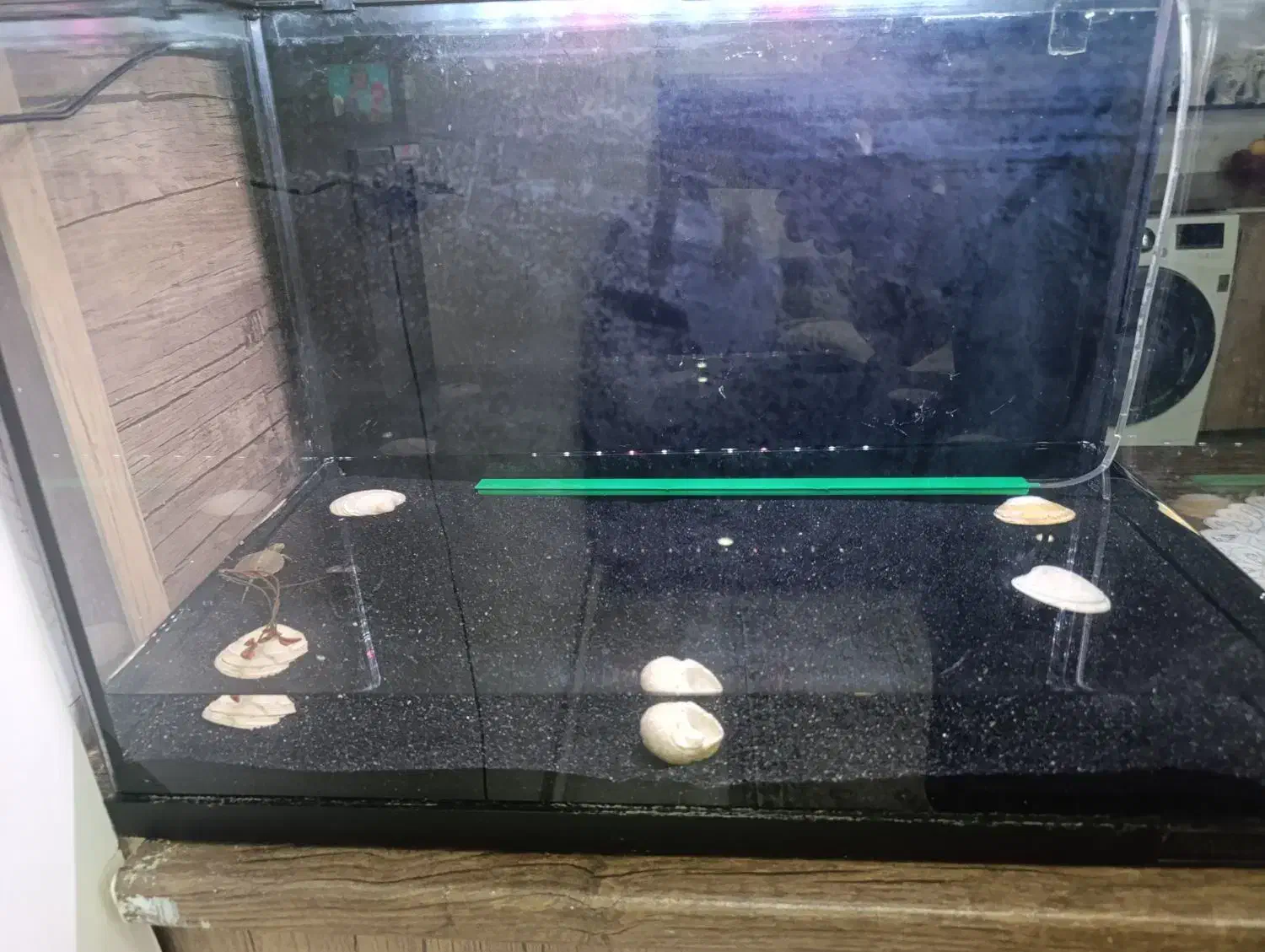 اکواریم هایلا  مدل f60|ماهی|بومهن, |دیوار