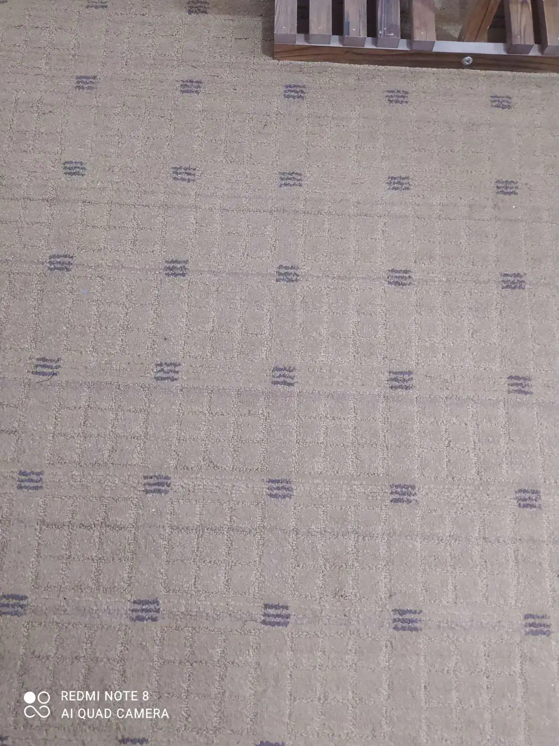 ۲عدد موکت ۱۲متری پرزبلند و طرح دار ظریف مصور|موکت|دزفول, |دیوار