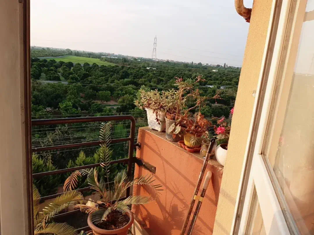 آپارتمان ۷۵ متری ۲ خواب با منظره زیبا و باغی|فروش آپارتمان|قائمشهر, |دیوار