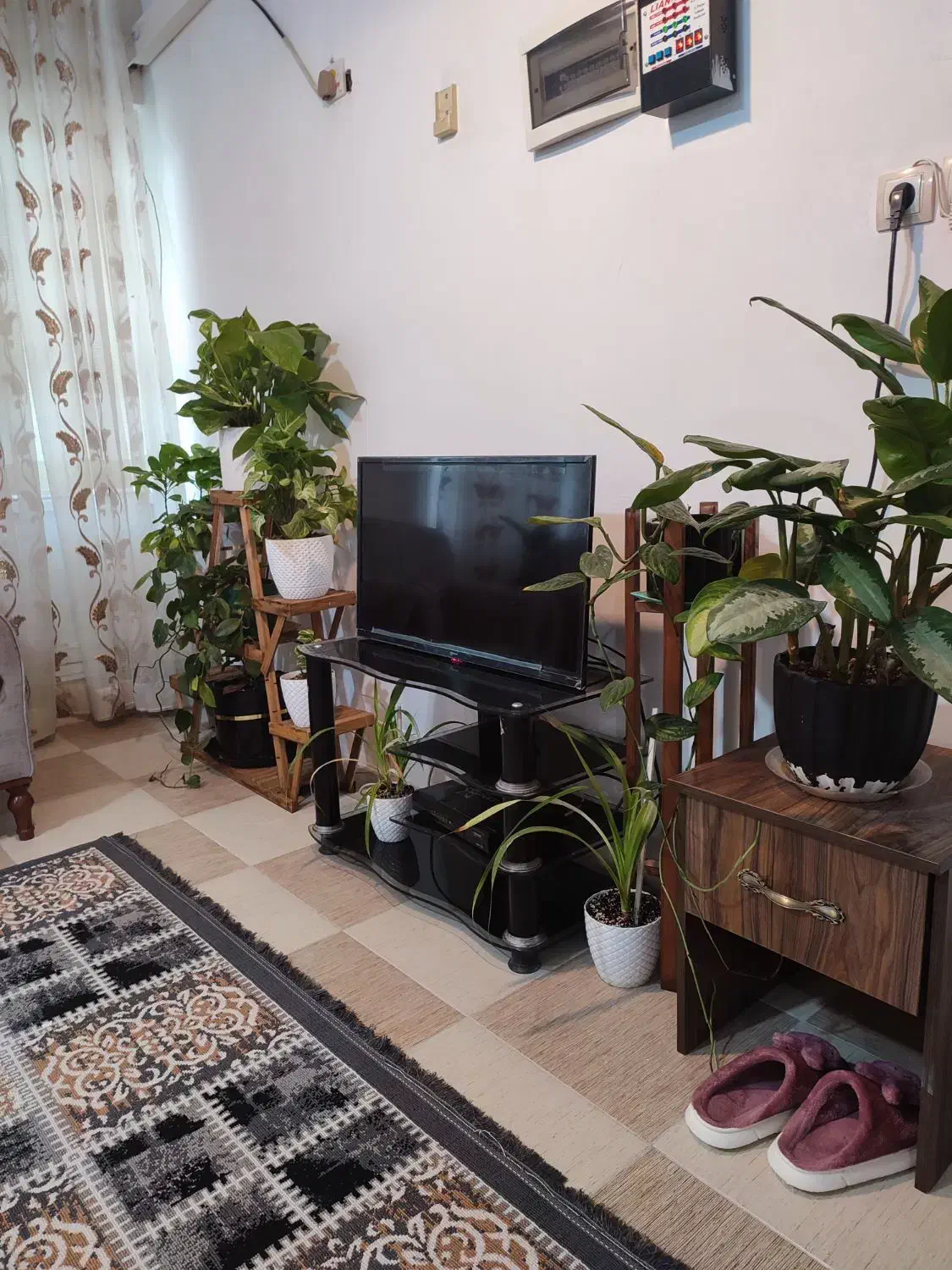 مشاور خونه مبله و باغ استخر روزانه و اجاره ماهیانه|اجارهٔ کوتاهمدت آپارتمان و سوئیت|بوشهر, |دیوار