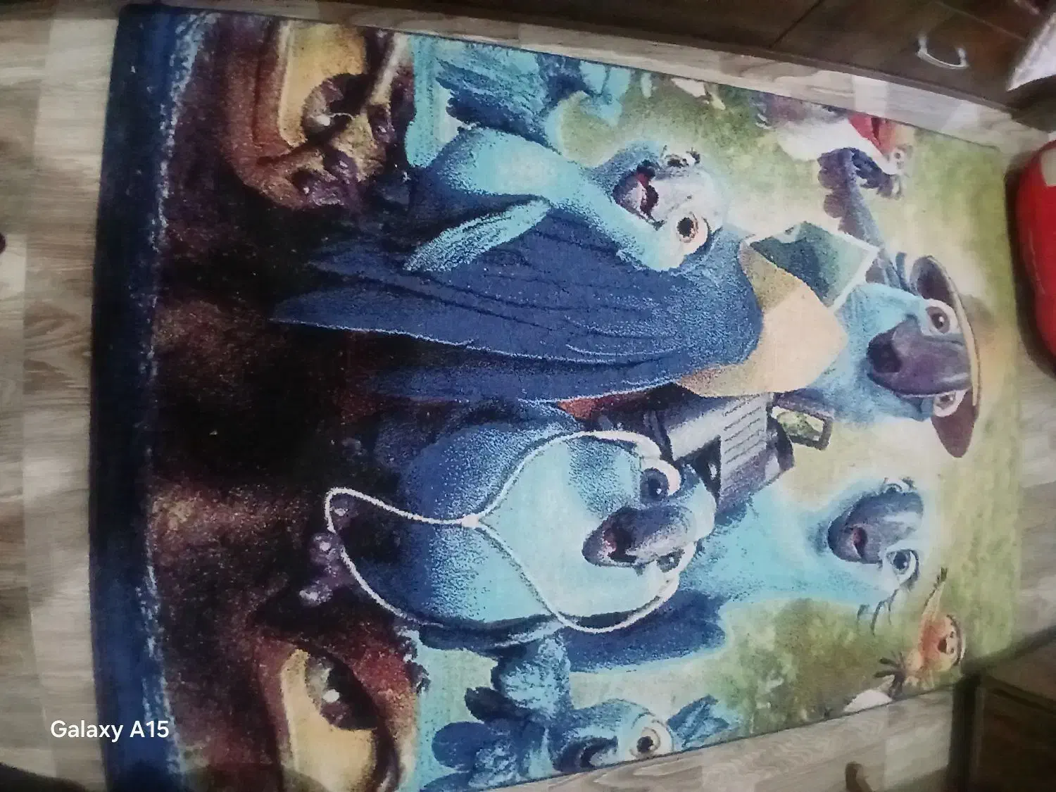 فرش|فرش|مشکین‌دشت, |دیوار