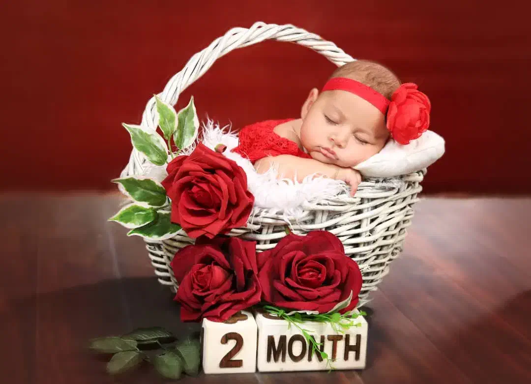 تعدادی لوازم آتلیه و تم تولد|دوربین عکاسی و فیلم‌برداری|فلاورجان, |دیوار