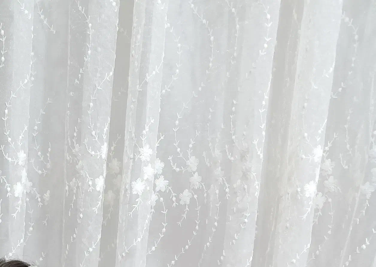 پرده پذیرایی|پرده، رانر، رومیزی|الیگودرز, |دیوار