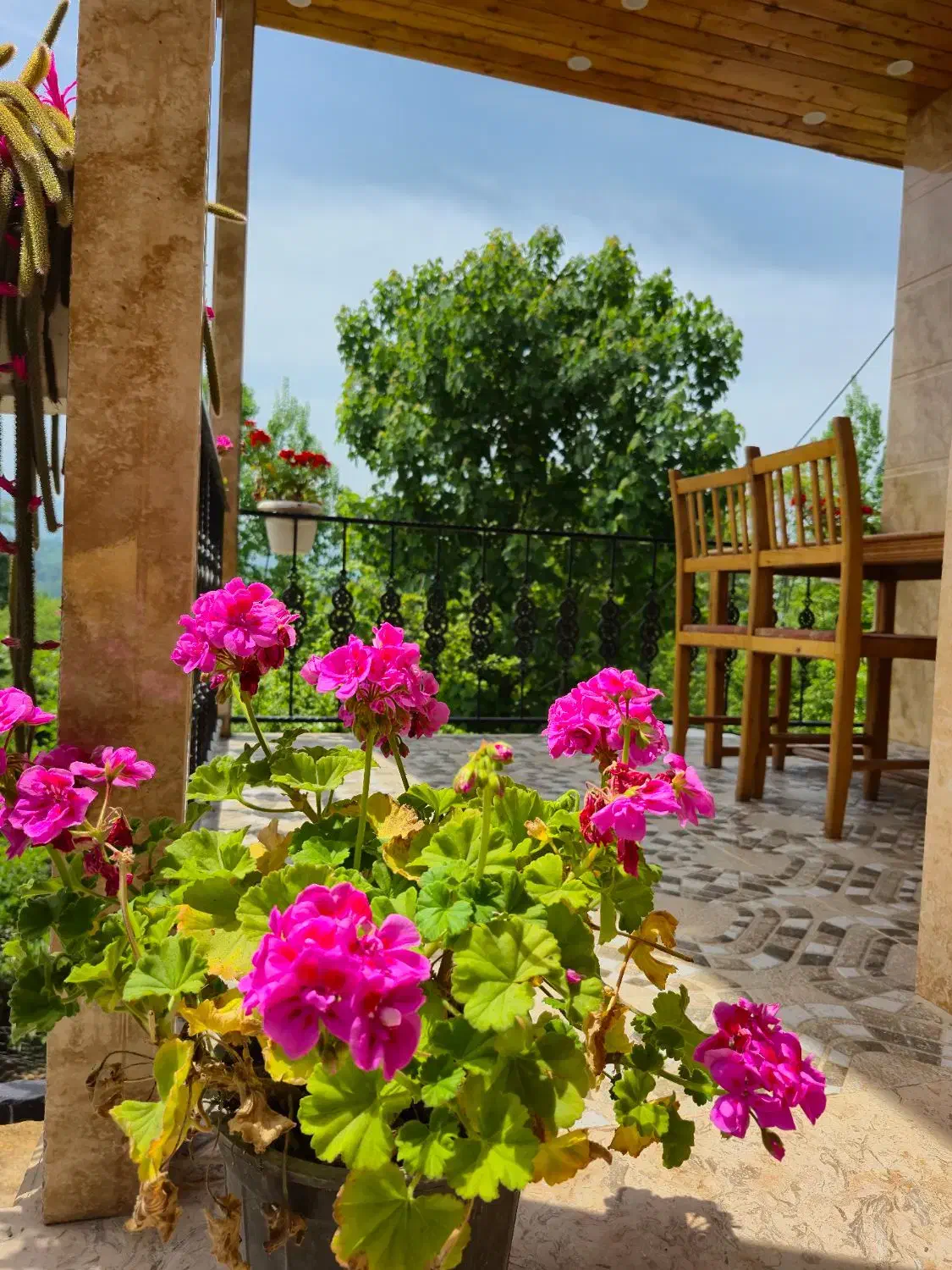 اجاره روزانه کلبه جنگلی|اجارهٔ کوتاه‌مدت ویلا و باغ|شیرگاه, |دیوار