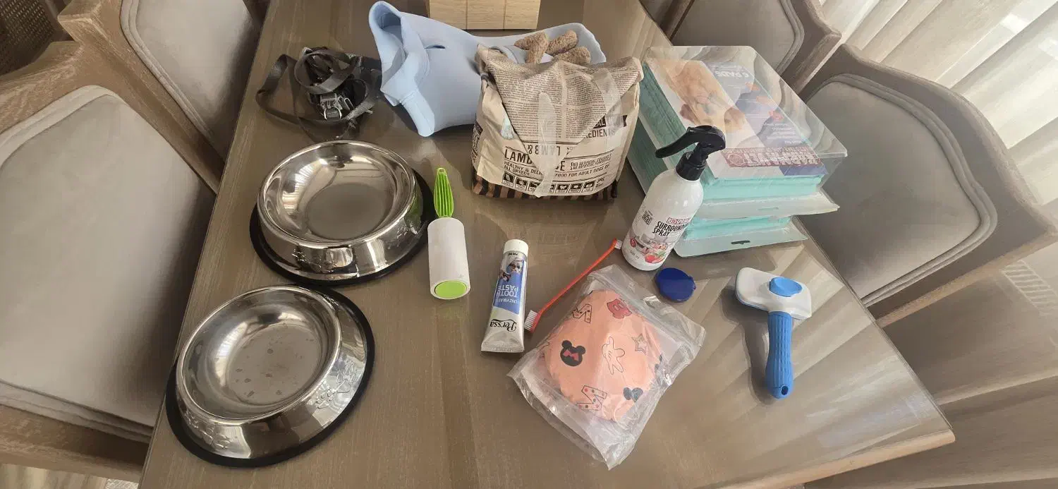 لوازم سگ|لوازم جانبی حیوانات|قم, سالاریه|دیوار