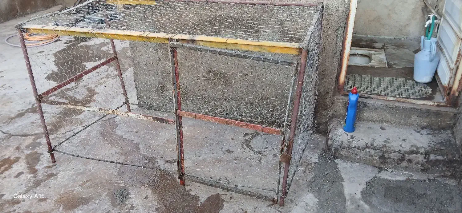 قفس مرغ خروس  حیوانات مزرعه|لوازم جانبی حیوانات|میانه, |دیوار