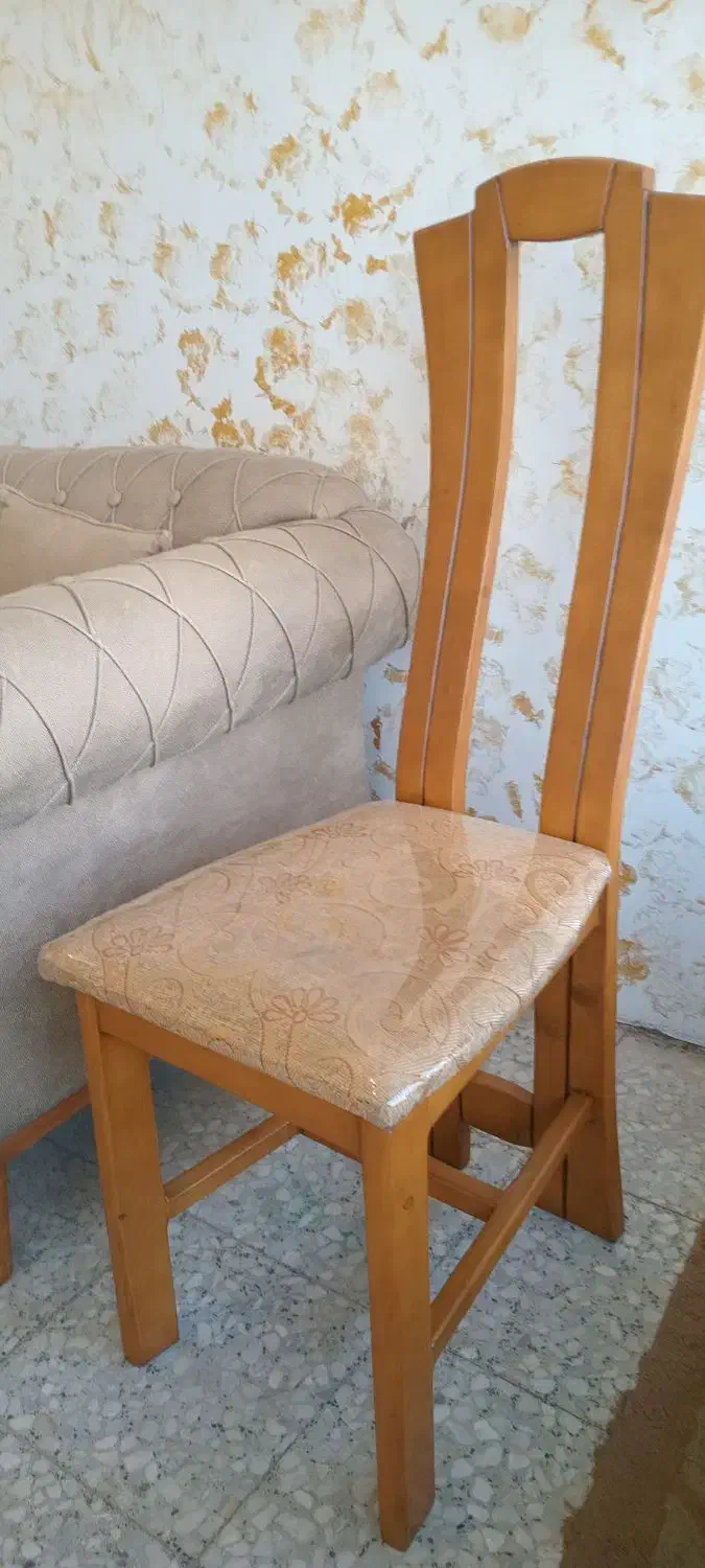 صندلی ناهار خوری|میز و صندلی غذاخوری|بندر انزلی, گلشن|دیوار