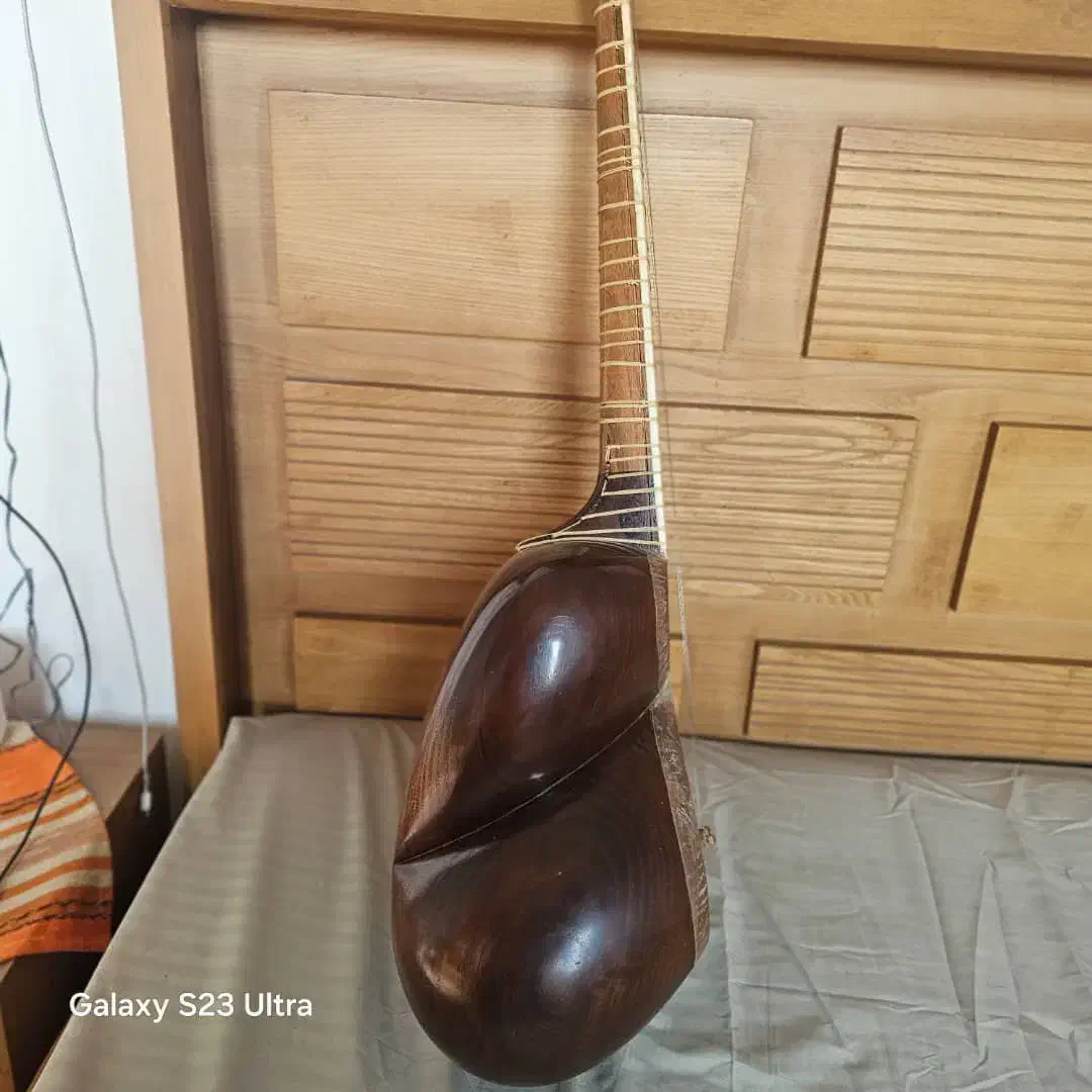 تار دومهر ایرج کلهر|سازهای سنتی|تهران, نیروی هوایی (پیروزی)|دیوار