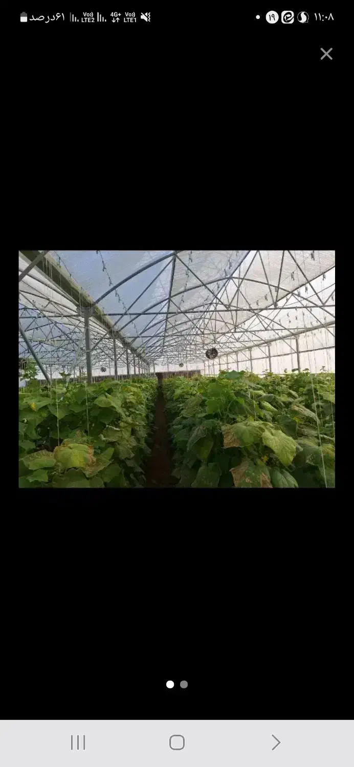 فروش گلخانه|فروش دفتر صنعتی، کشاورزی، تجاری|سپیدان, |دیوار