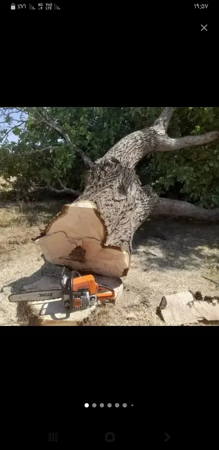 خریدار چوب|خدمات باغبانی و درختکاری|فیروزآباد (لرستان), |دیوار