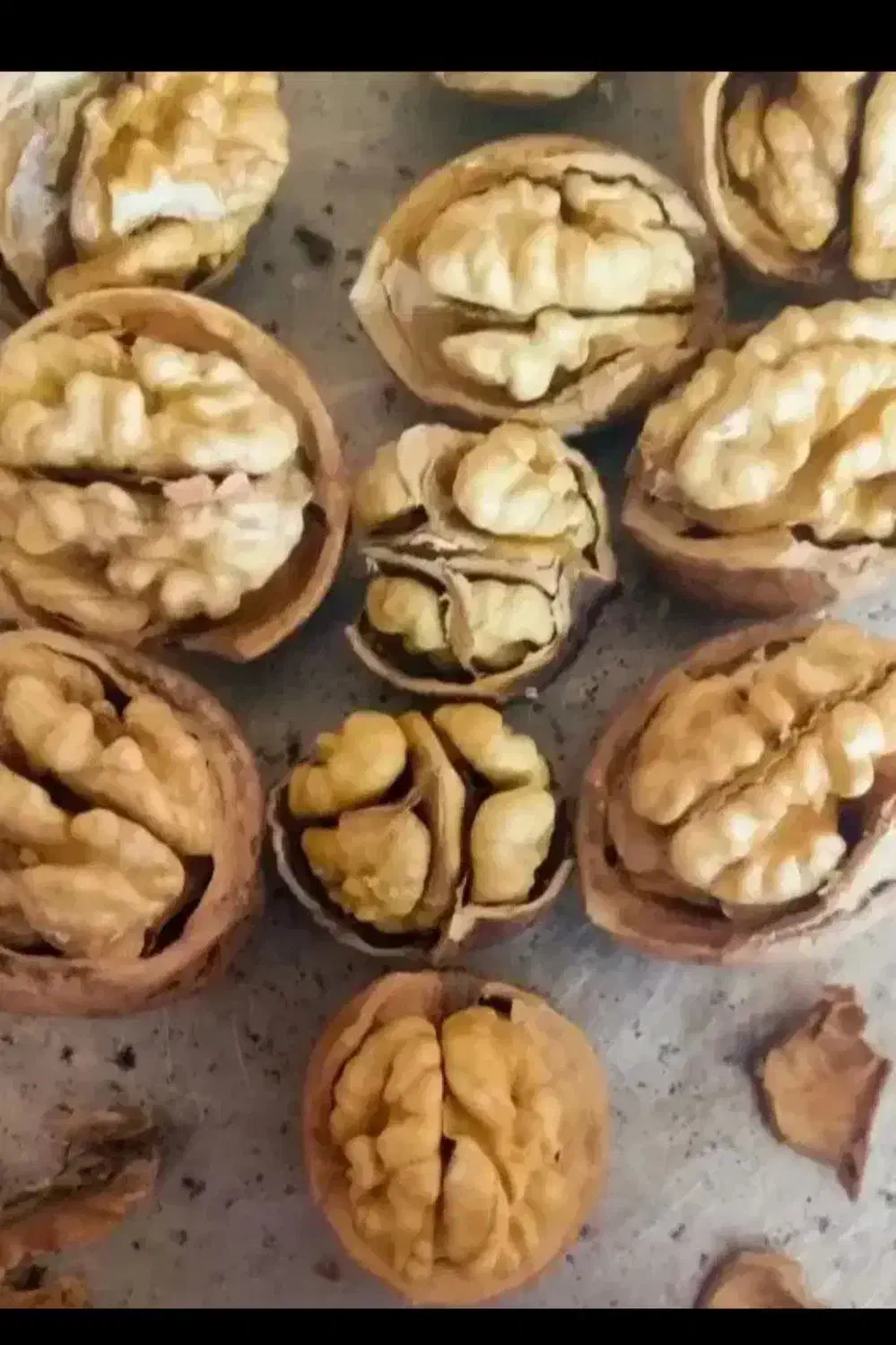 گردو درجه یک ایرانی (پوست کاغذی)بدون پوکی(تضمینی)|خوردنی و آشامیدنی|خورموج, |دیوار