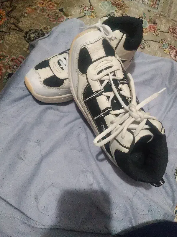 کفش زنانه|کیف، کفش، کمربند|سراب, |دیوار