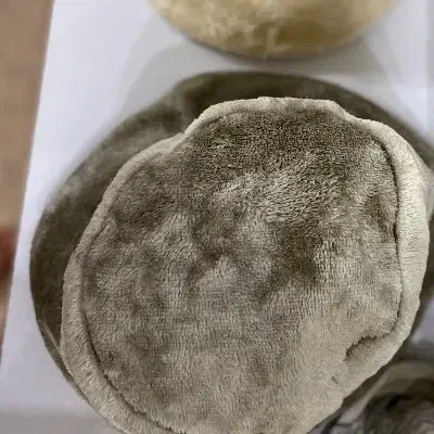 کلاه پشمی|لباس|ایوان, |دیوار