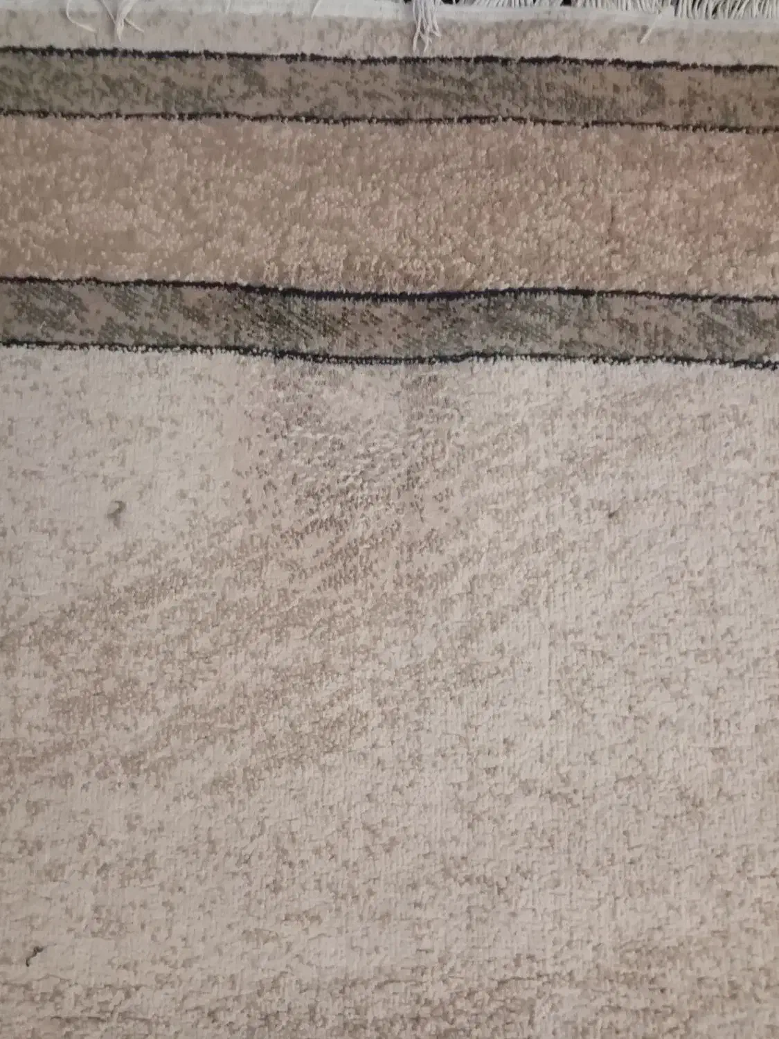 فرش آشپزخانه|فرش|پاکدشت, پاکدشت (مامازند)|دیوار