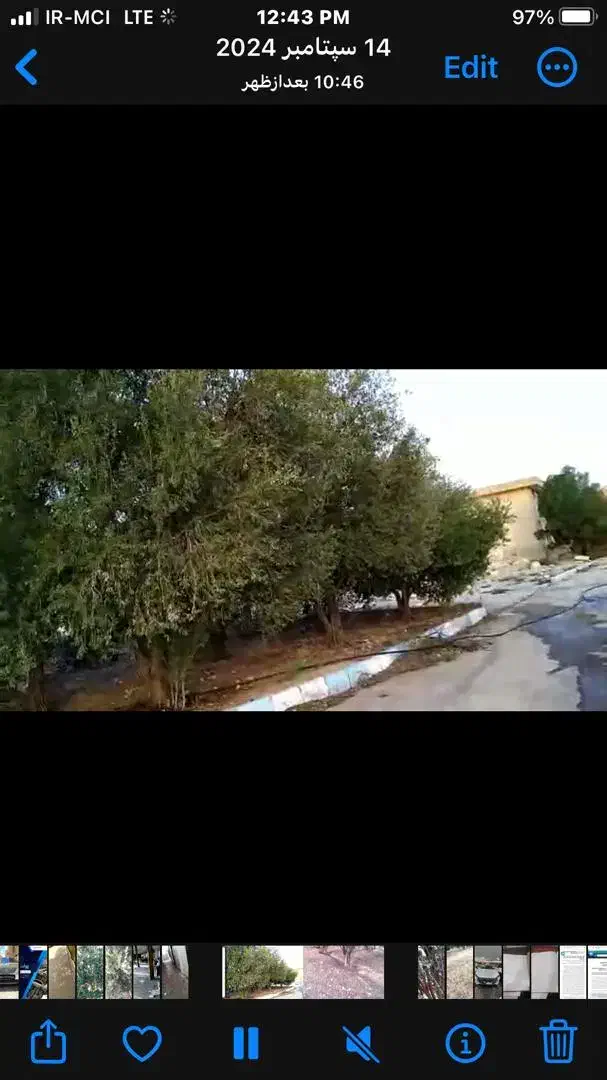 فروش ۲۵ هکتار زمین مناسب برای ساخت مسکن|فروش زمین و ملک کلنگی|شیراز, برمشور علیا|دیوار