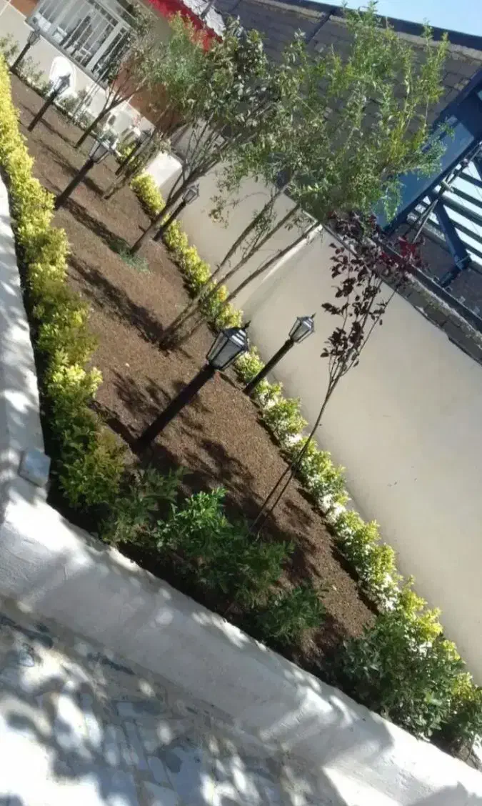 خدمات کلیه باغبانی باغچه کاری گلکاری کاشت گل وگیا|خدمات باغبانی و درختکاری|کرج, عظیمیه|دیوار