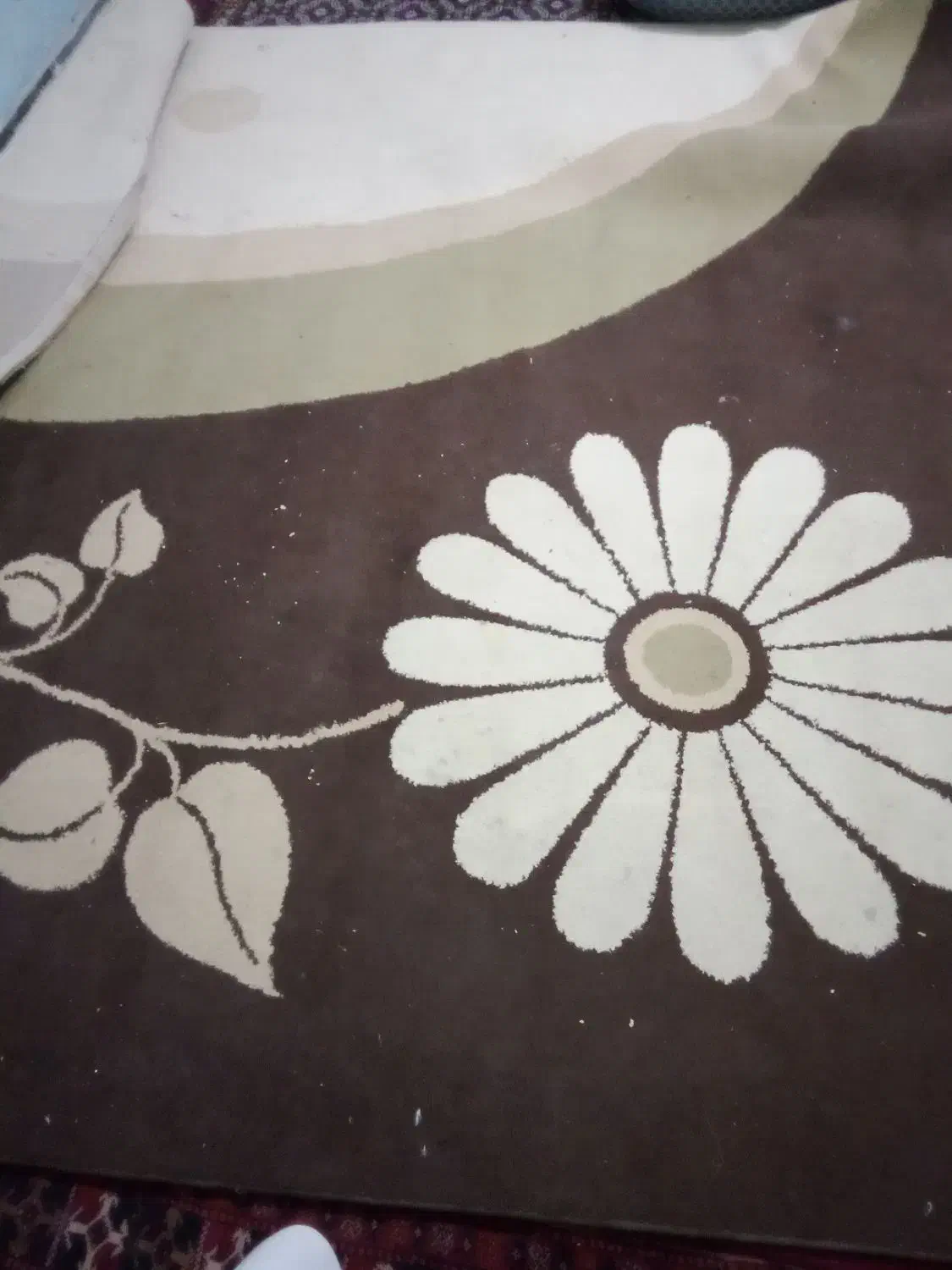 گلیم فرش ۹متری|گلیم، جاجیم، گبه|زاهدان, |دیوار