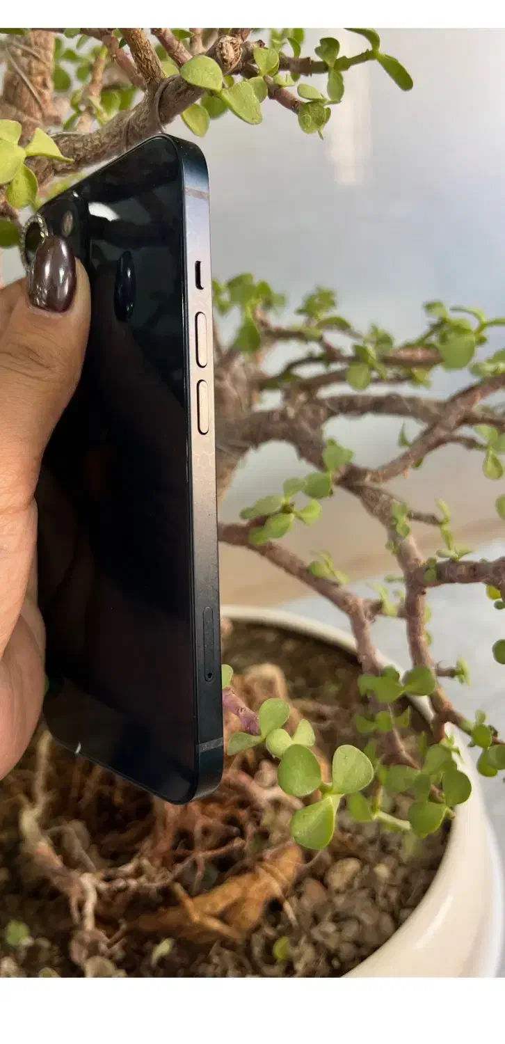 آیفون 13|موبایل|سبزوار, امیر کبیر|دیوار