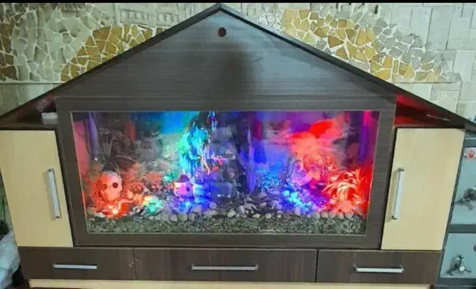 اکواریوم|ماهی|گلستان (تهران), |دیوار