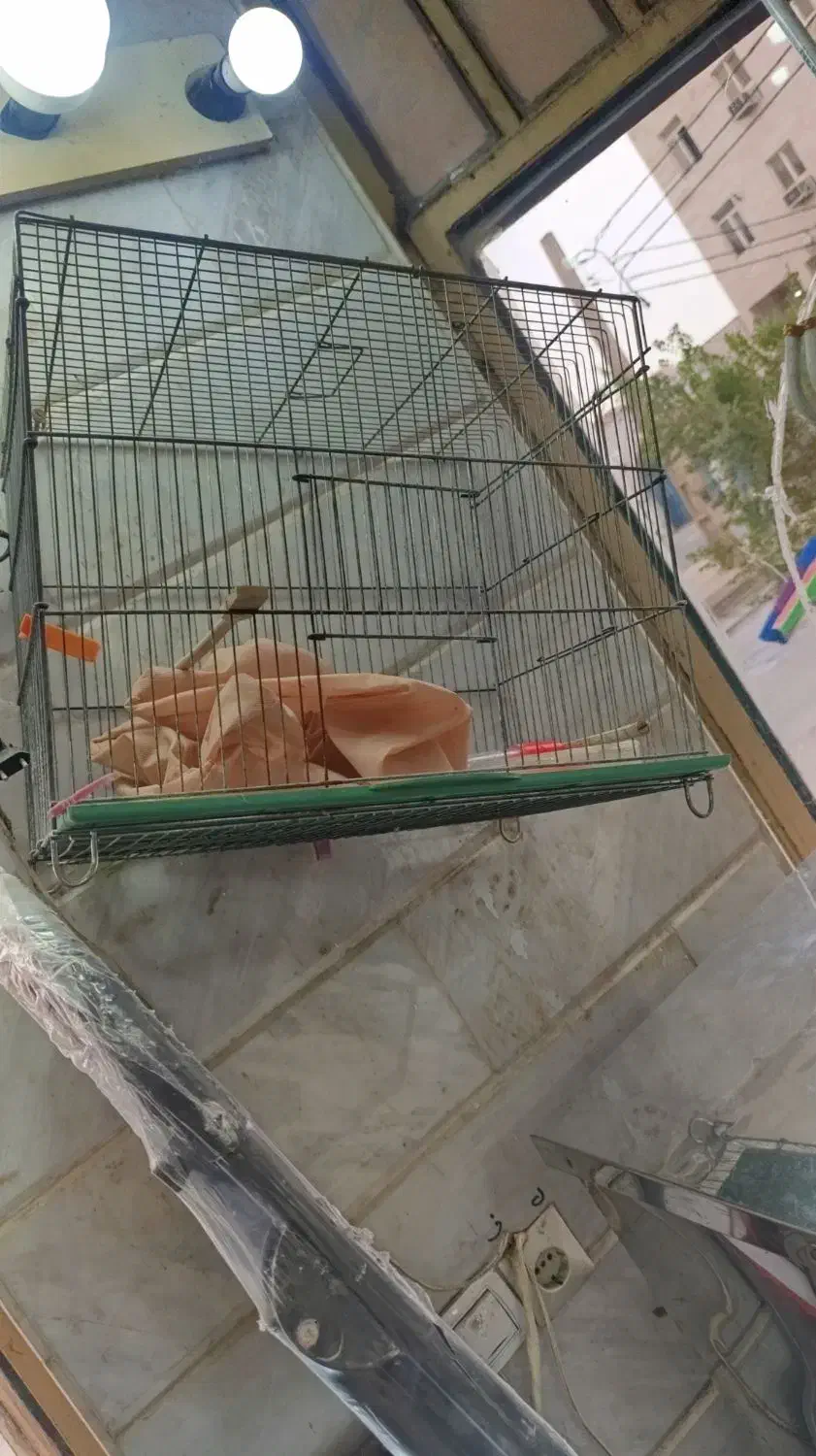 قفس|لوازم جانبی حیوانات|بندر امام خمینی, |دیوار