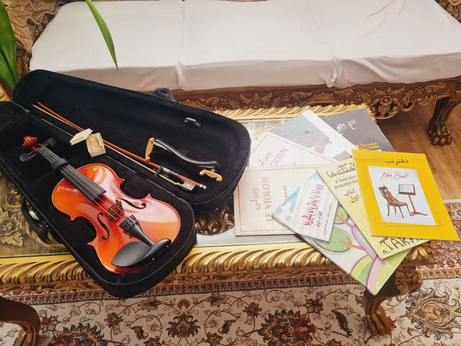 ویولن اصلی+(کتاب آموزشی)|ویولن|بجنورد, |دیوار