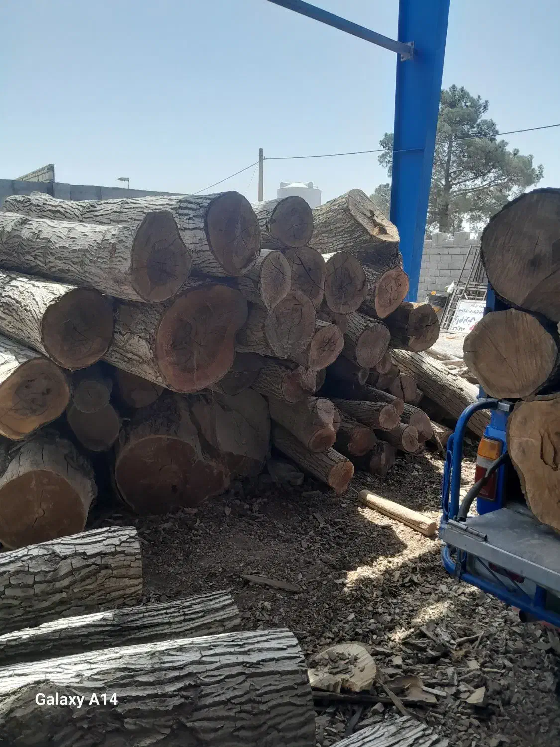 خریدار چوب|خدمات باغبانی و درختکاری|اصفهان, زاجان|دیوار