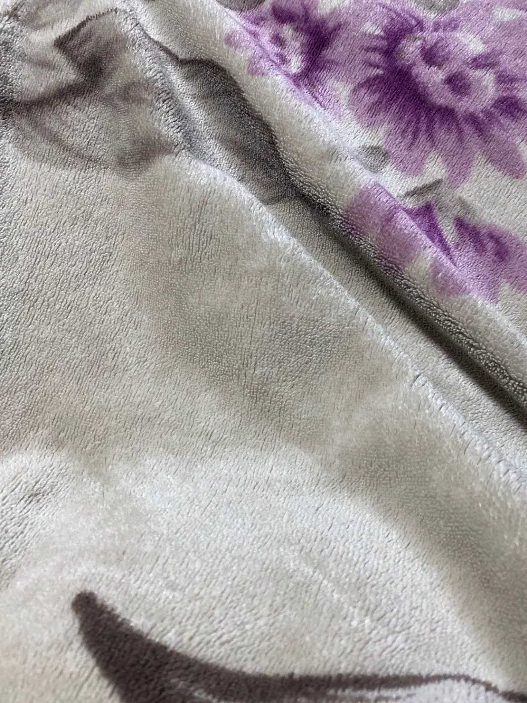 همخونه میخوام|اجارهٔ کوتاه‌مدت آپارتمان و سوئیت|گرگان, |دیوار