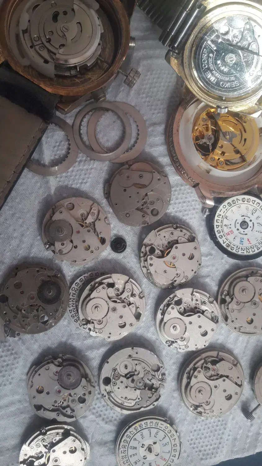 موتورساعت سیکوواورینتو|ساعت|تربتحیدریه, پایانه مسافربری تربت حیدریه|دیوار