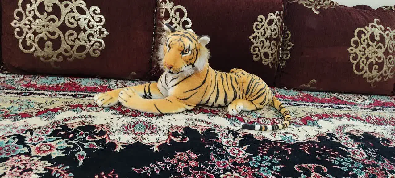 5 عدد پشتی|پشتی|قم, باجک دو|دیوار