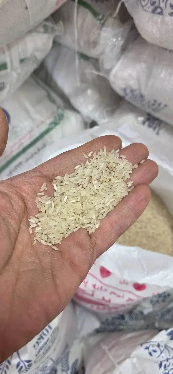 برنج پاکستانی وهندی|خوردنی و آشامیدنی|مشهد, مصلی (کارمندان اول)|دیوار