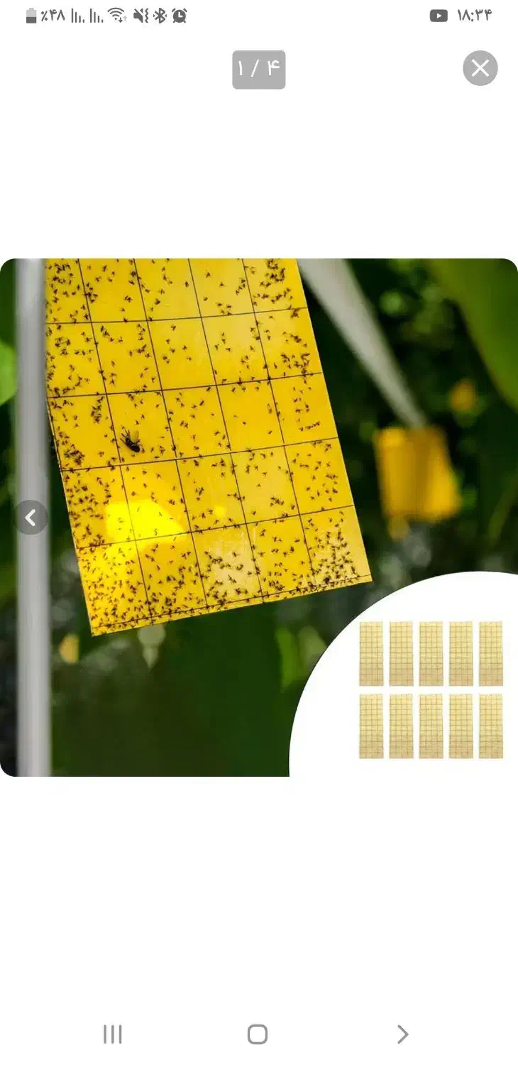 چسب حشرات|لوازم نظافت|اهواز, نادری|دیوار