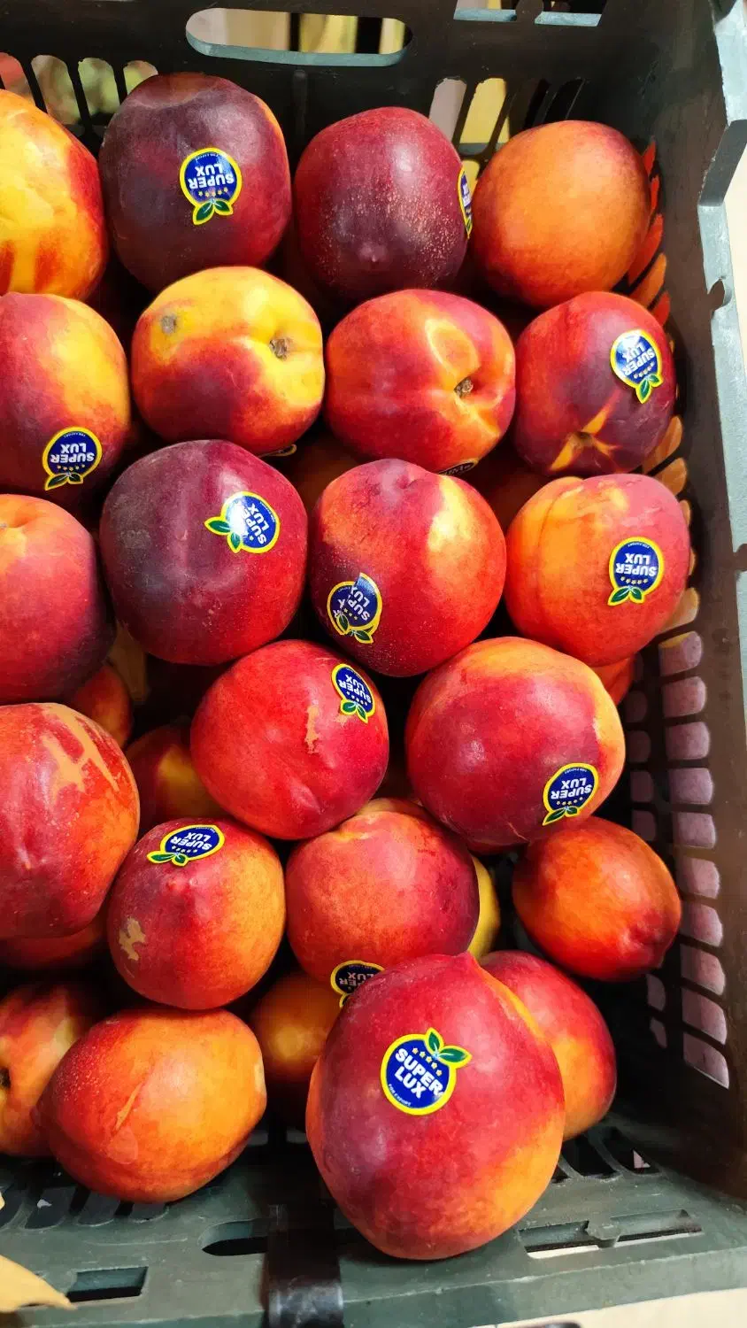 نیرو کار خانم|استخدام بازاریابی و فروش|کرمان, |دیوار