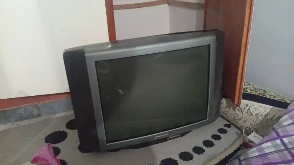 تلویزیون 29و14|تلویزیون و پروژکتور|بوشهر, |دیوار