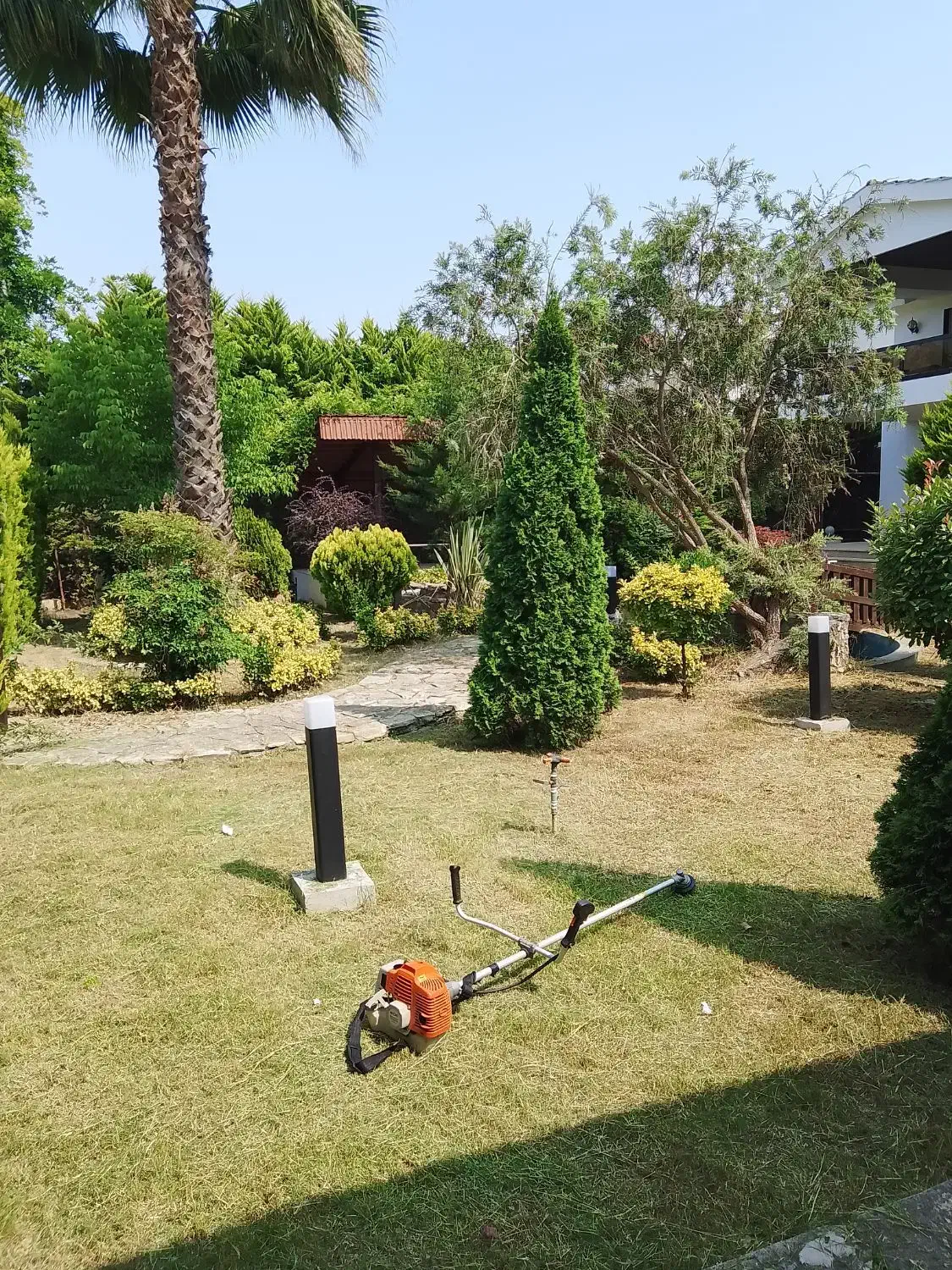 نگهداری و طراحی و اجرا فضای سبزـخدمات باغبانی|خدمات باغبانی و درختکاری|فریدون‌کنار, |دیوار