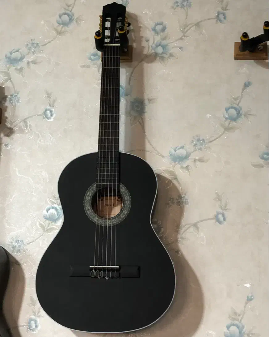 گیتار پارسی|گیتار، بیس، امپلیفایر|ورامین, خیر آباد|دیوار