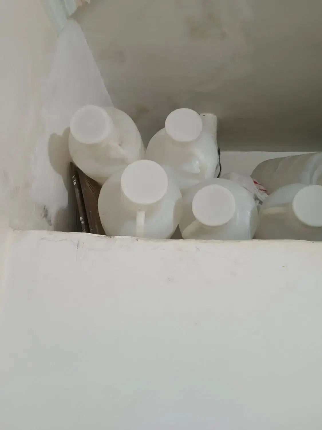 دبه|ظروف نگهدارنده، پلاستیکی، یکبارمصرف|مشهد, نوید|دیوار