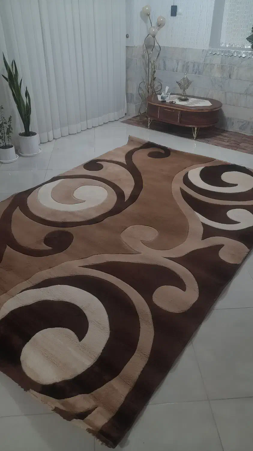 فرش|فرش|تربتحیدریه, باغ سلطانی|دیوار