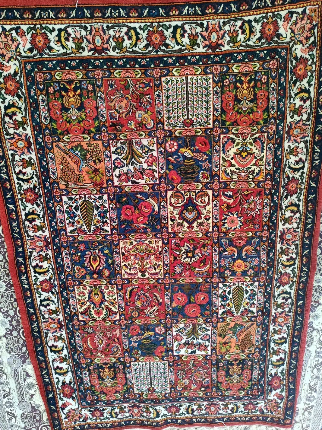 قالی دستباف|فرش|سامان, |دیوار