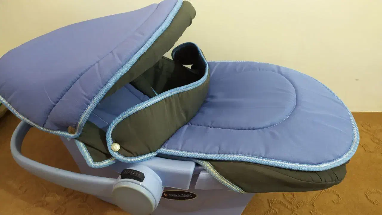 کریرمارک دلیجان|کالسکه و لوازم جانبی|بناب, |دیوار