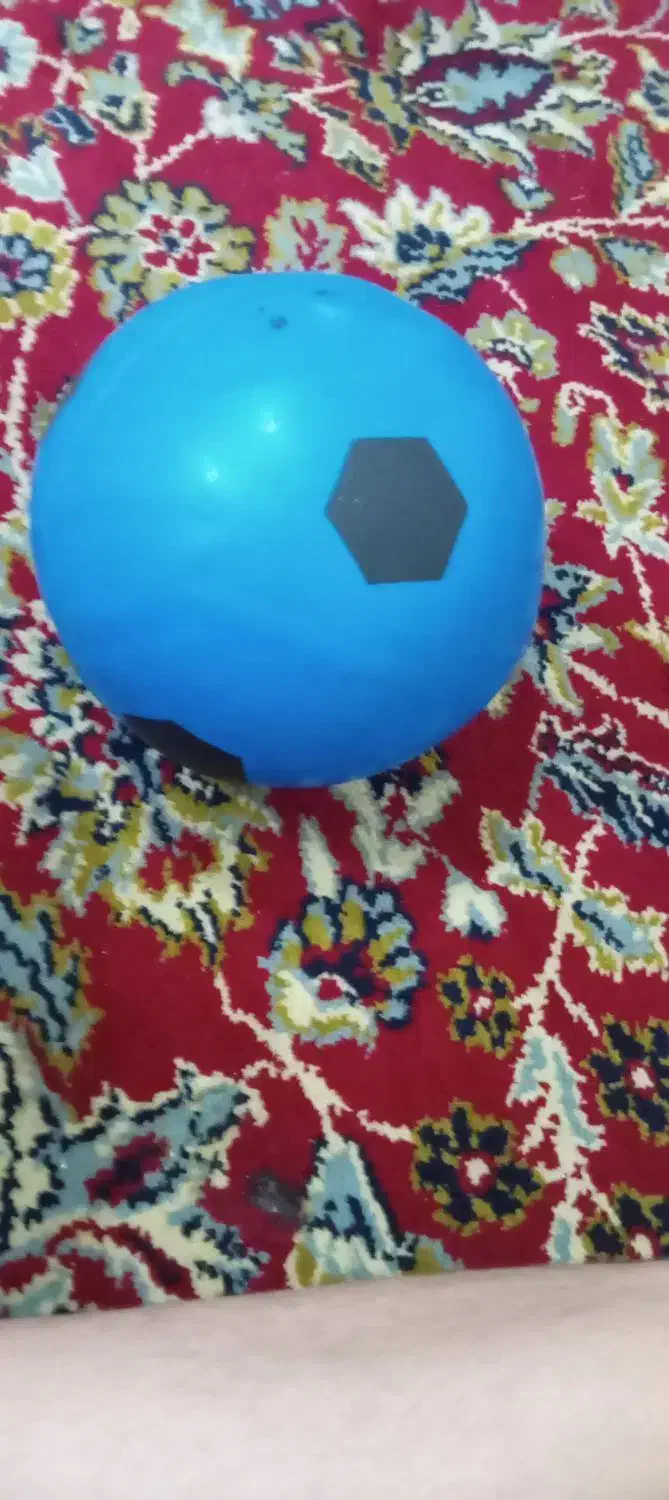 توپ خانگی زیبا|اسباببازی|زالیان, |دیوار