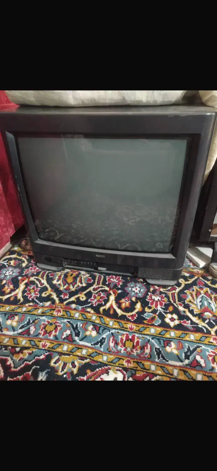 تلویزیون|تلویزیون و پروژکتور|کاشان, زیدی|دیوار