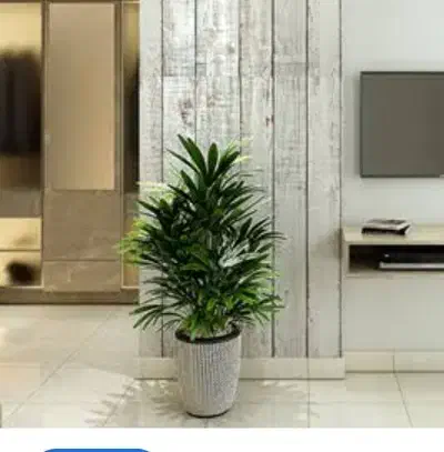 منزل اجاره شهرضا|اجارهٔ کوتاهمدت ویلا و باغ|شهرضا, |دیوار